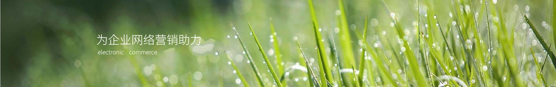 ӱԾҵ޹˾
